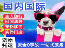 南通空运公司国际宠物托运 【国
